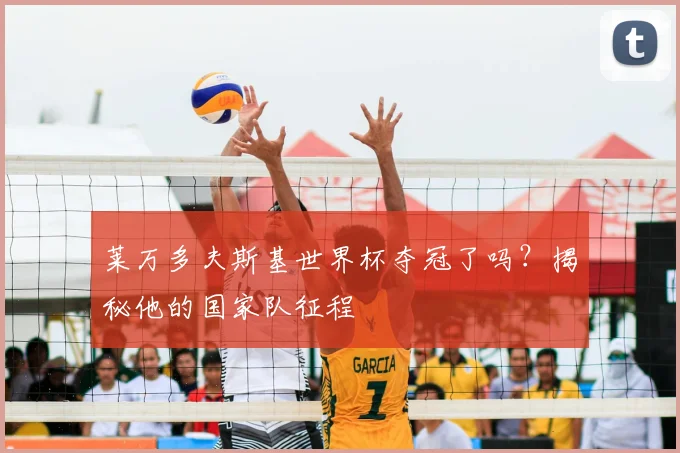 莱万多夫斯基世界杯夺冠了吗?揭秘他的国家队征程