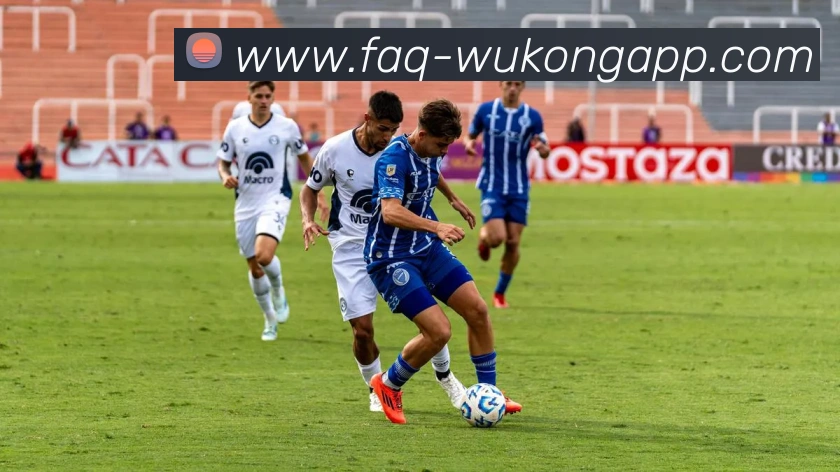 悟空体育app平台生态图