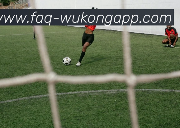 悟空体育appAPP 封面图